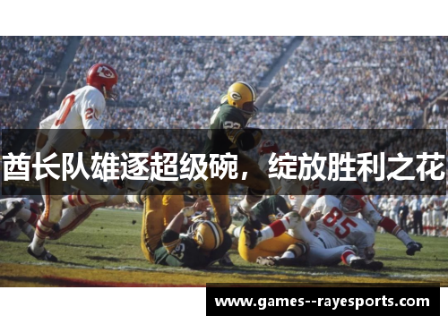酋长队雄逐超级碗，绽放胜利之花